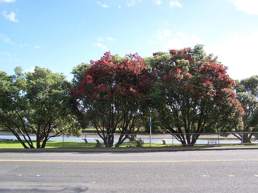 Kauri Nest Bed and Breakfast Whangarei Buitenkant foto