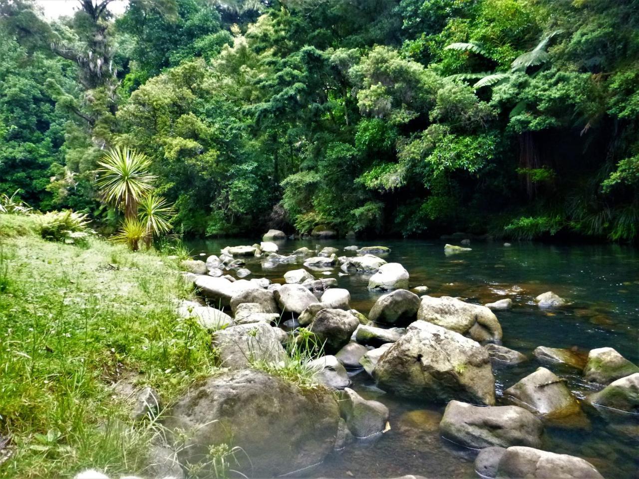 Kauri Nest Bed and Breakfast Whangarei Buitenkant foto