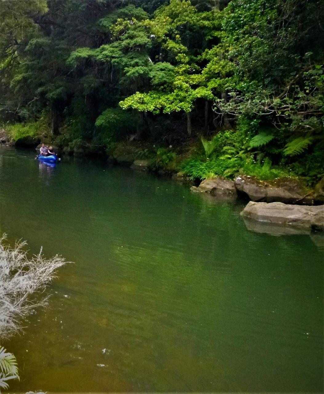 Kauri Nest Bed and Breakfast Whangarei Buitenkant foto
