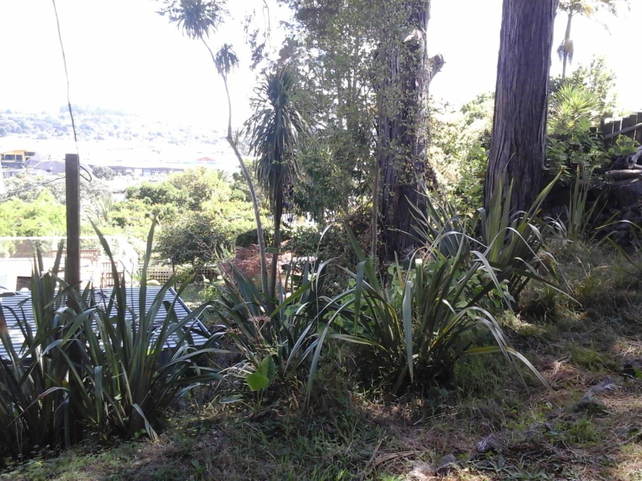 Kauri Nest Bed and Breakfast Whangarei Buitenkant foto