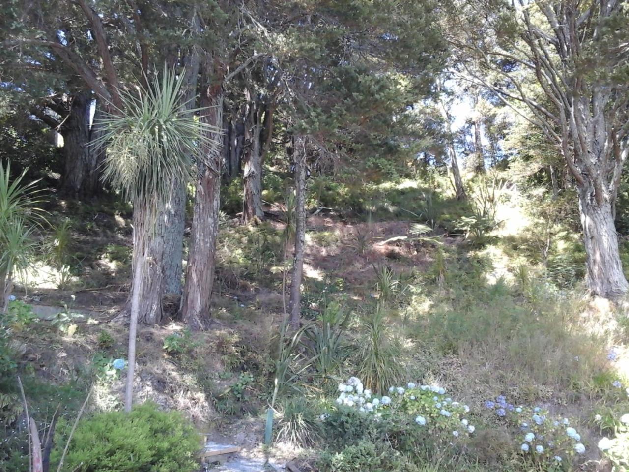 Kauri Nest Bed and Breakfast Whangarei Buitenkant foto